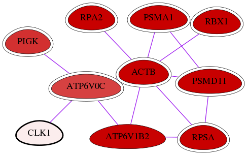 wolf-screen-ratio-mammosphere-adherent-int-snw-1195 subnetwork