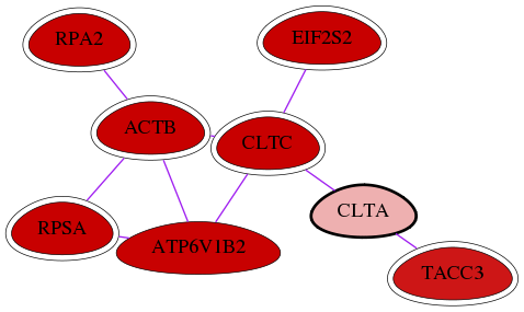 wolf-screen-ratio-mammosphere-adherent-int-snw-1211 subnetwork