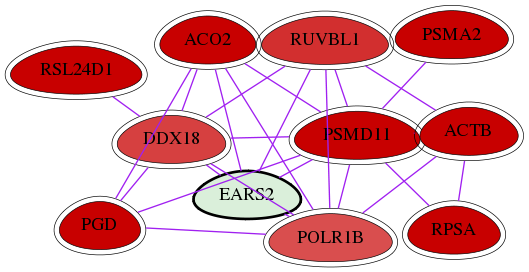 wolf-screen-ratio-mammosphere-adherent-int-snw-124454 subnetwork