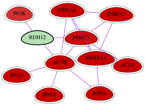 wolf-screen-ratio-mammosphere-adherent-int-snw-145226 subnetwork