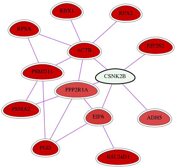 wolf-screen-ratio-mammosphere-adherent-int-snw-1460 subnetwork