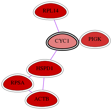 wolf-screen-ratio-mammosphere-adherent-int-snw-1537 subnetwork