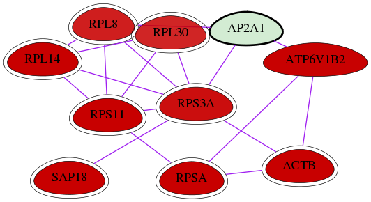 wolf-screen-ratio-mammosphere-adherent-int-snw-160 subnetwork