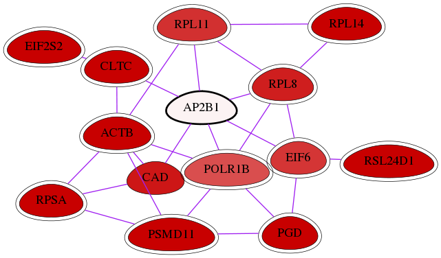 wolf-screen-ratio-mammosphere-adherent-int-snw-163 subnetwork