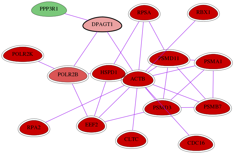 wolf-screen-ratio-mammosphere-adherent-int-snw-1798 subnetwork