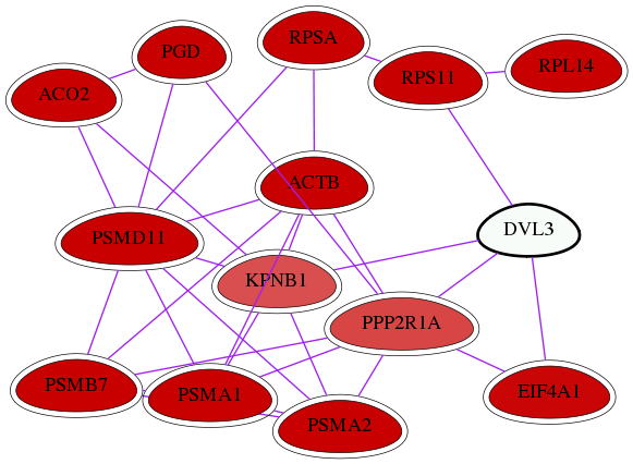 wolf-screen-ratio-mammosphere-adherent-int-snw-1857 subnetwork