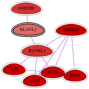 wolf-screen-ratio-mammosphere-adherent-int-snw-1994 subnetwork