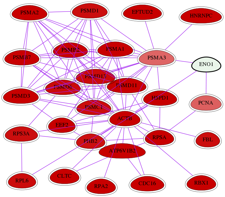 wolf-screen-ratio-mammosphere-adherent-int-snw-2023 subnetwork