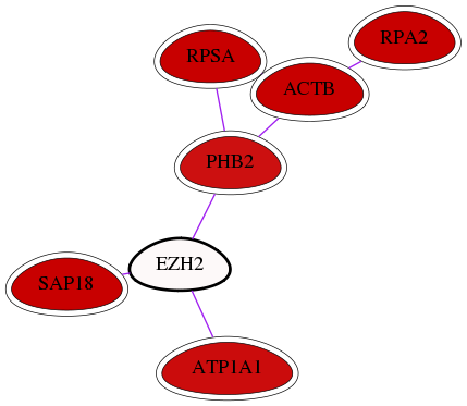 wolf-screen-ratio-mammosphere-adherent-int-snw-2146 subnetwork