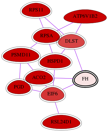 wolf-screen-ratio-mammosphere-adherent-int-snw-2271 subnetwork