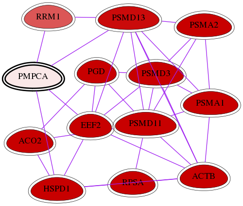 wolf-screen-ratio-mammosphere-adherent-int-snw-23203 subnetwork