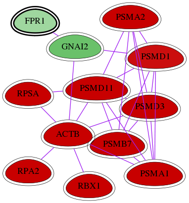 wolf-screen-ratio-mammosphere-adherent-int-snw-2357 subnetwork