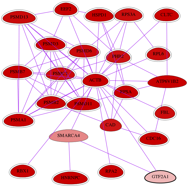 wolf-screen-ratio-mammosphere-adherent-int-snw-2957 subnetwork