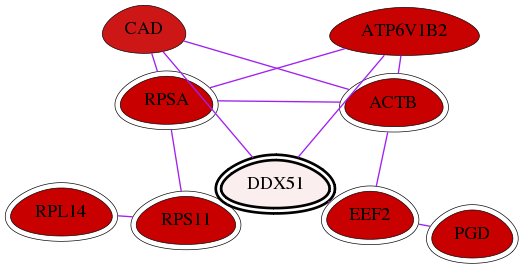 wolf-screen-ratio-mammosphere-adherent-int-snw-317781 subnetwork