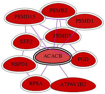 wolf-screen-ratio-mammosphere-adherent-int-snw-32 subnetwork