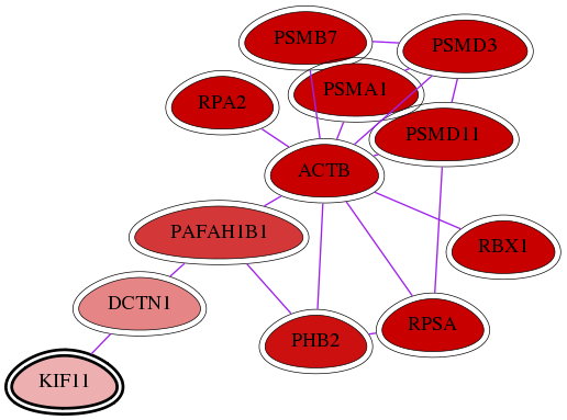 wolf-screen-ratio-mammosphere-adherent-int-snw-3832 subnetwork