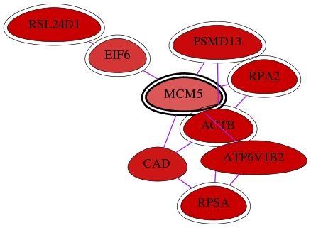 wolf-screen-ratio-mammosphere-adherent-int-snw-4174 subnetwork