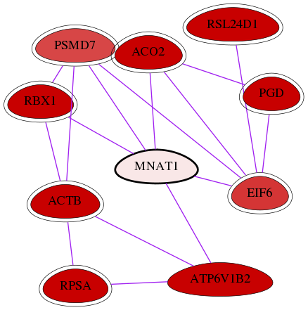 wolf-screen-ratio-mammosphere-adherent-int-snw-4331 subnetwork