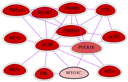 wolf-screen-ratio-mammosphere-adherent-int-snw-4641 subnetwork