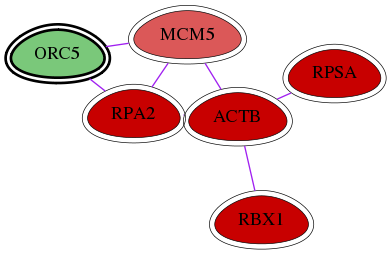 wolf-screen-ratio-mammosphere-adherent-int-snw-5001 subnetwork