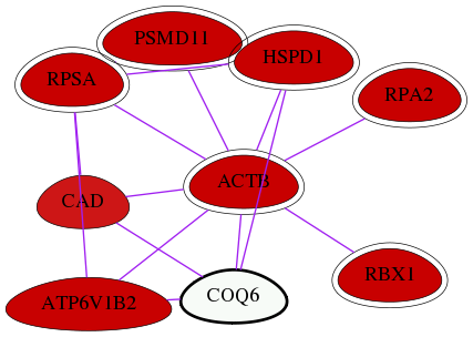 wolf-screen-ratio-mammosphere-adherent-int-snw-51004 subnetwork