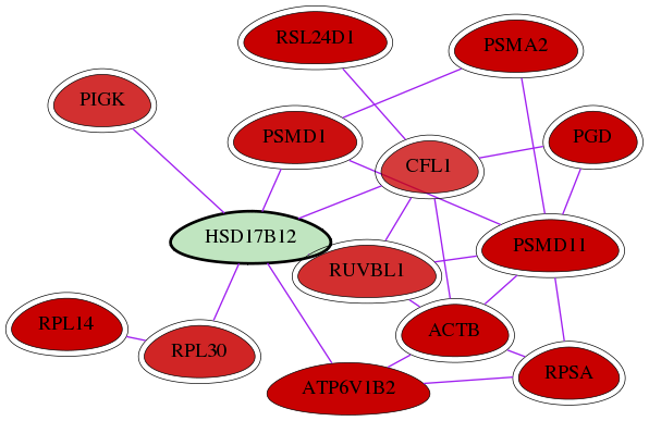 wolf-screen-ratio-mammosphere-adherent-int-snw-51144 subnetwork