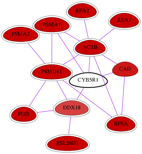 wolf-screen-ratio-mammosphere-adherent-int-snw-51706 subnetwork