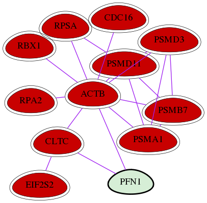 wolf-screen-ratio-mammosphere-adherent-int-snw-5216 subnetwork