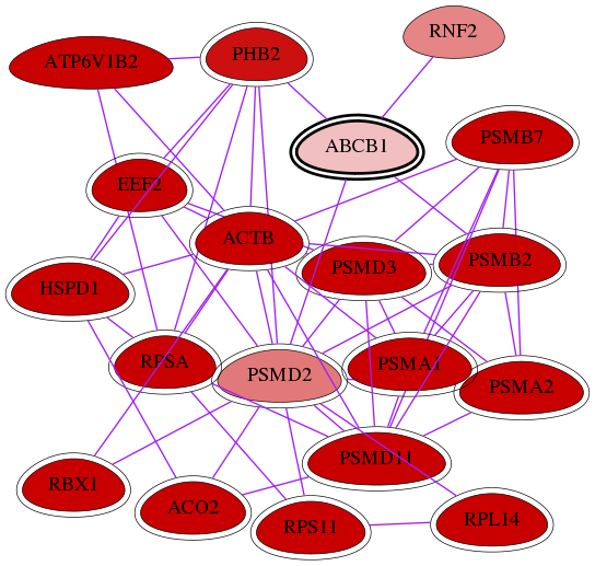 wolf-screen-ratio-mammosphere-adherent-int-snw-5243 subnetwork