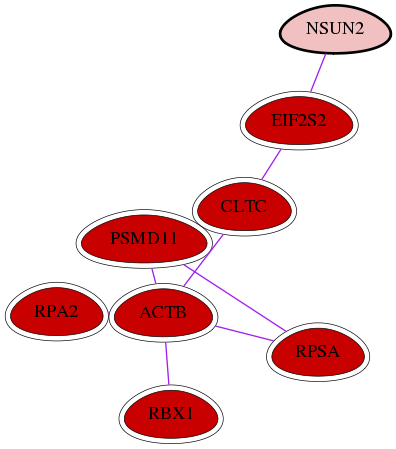 wolf-screen-ratio-mammosphere-adherent-int-snw-54888 subnetwork