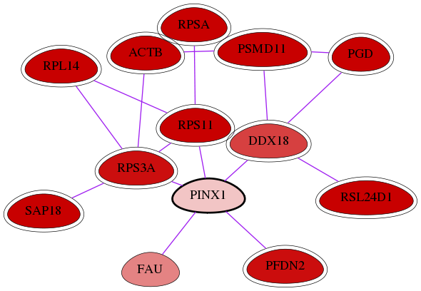 wolf-screen-ratio-mammosphere-adherent-int-snw-54984 subnetwork