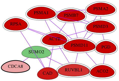 wolf-screen-ratio-mammosphere-adherent-int-snw-55143 subnetwork