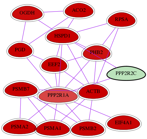 wolf-screen-ratio-mammosphere-adherent-int-snw-5522 subnetwork