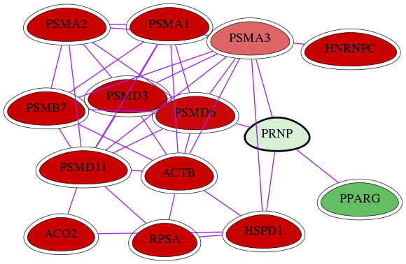 wolf-screen-ratio-mammosphere-adherent-int-snw-5621 subnetwork