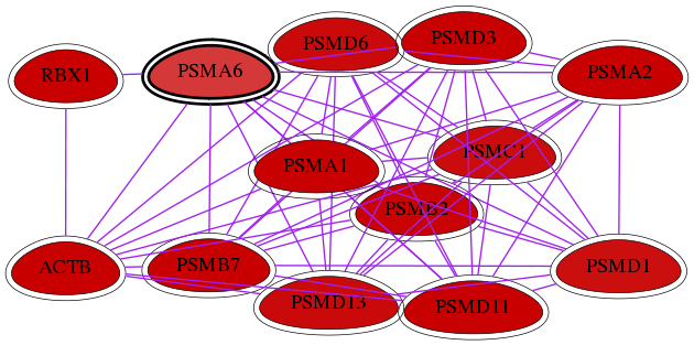 wolf-screen-ratio-mammosphere-adherent-int-snw-5687 subnetwork