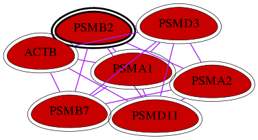 wolf-screen-ratio-mammosphere-adherent-int-snw-5690 subnetwork