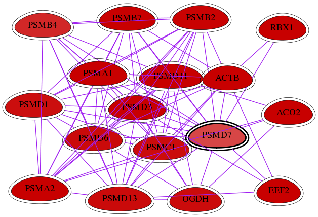 wolf-screen-ratio-mammosphere-adherent-int-snw-5713 subnetwork