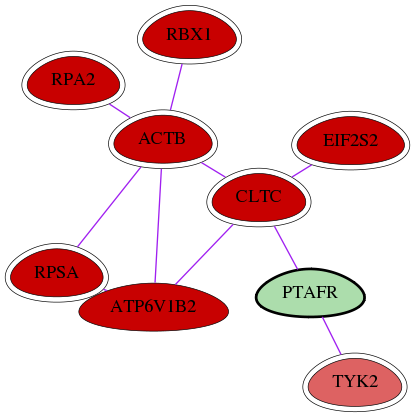 wolf-screen-ratio-mammosphere-adherent-int-snw-5724 subnetwork