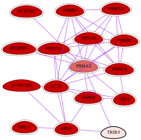 wolf-screen-ratio-mammosphere-adherent-int-snw-57761 subnetwork