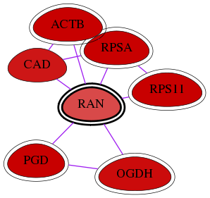 wolf-screen-ratio-mammosphere-adherent-int-snw-5901 subnetwork