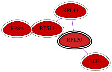 wolf-screen-ratio-mammosphere-adherent-int-snw-6156 subnetwork