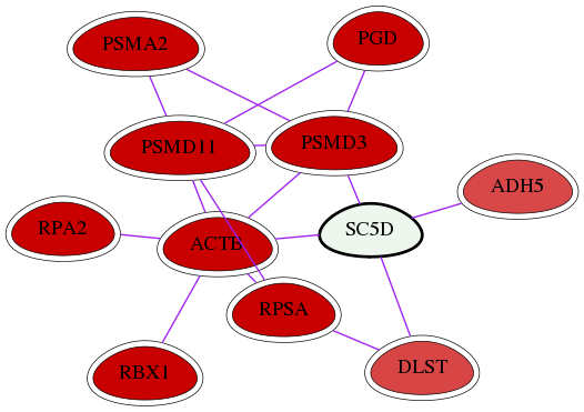 wolf-screen-ratio-mammosphere-adherent-int-snw-6309 subnetwork