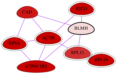 wolf-screen-ratio-mammosphere-adherent-int-snw-642 subnetwork