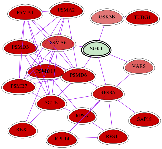 wolf-screen-ratio-mammosphere-adherent-int-snw-6446 subnetwork