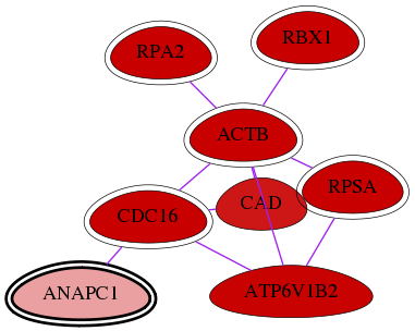 wolf-screen-ratio-mammosphere-adherent-int-snw-64682 subnetwork