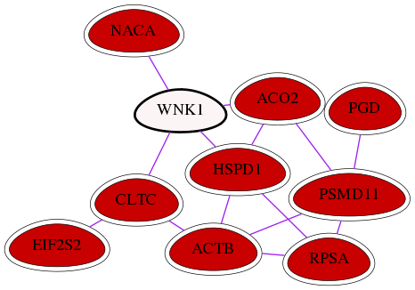 wolf-screen-ratio-mammosphere-adherent-int-snw-65125 subnetwork