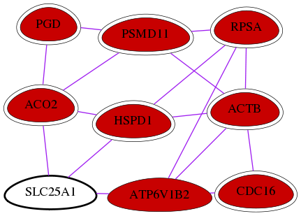 wolf-screen-ratio-mammosphere-adherent-int-snw-6576 subnetwork