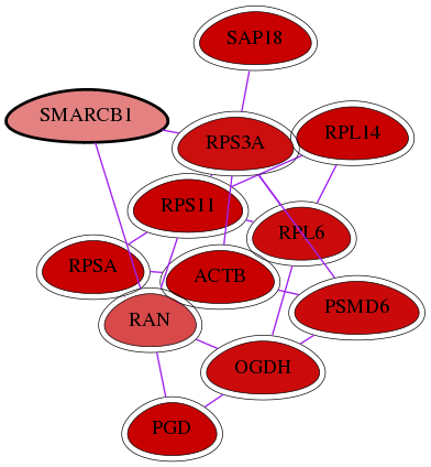 wolf-screen-ratio-mammosphere-adherent-int-snw-6598 subnetwork