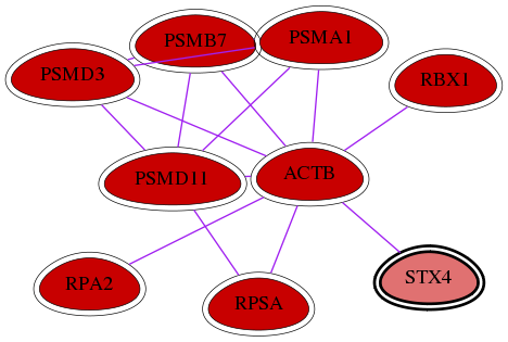 wolf-screen-ratio-mammosphere-adherent-int-snw-6810 subnetwork