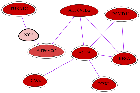 wolf-screen-ratio-mammosphere-adherent-int-snw-6855 subnetwork